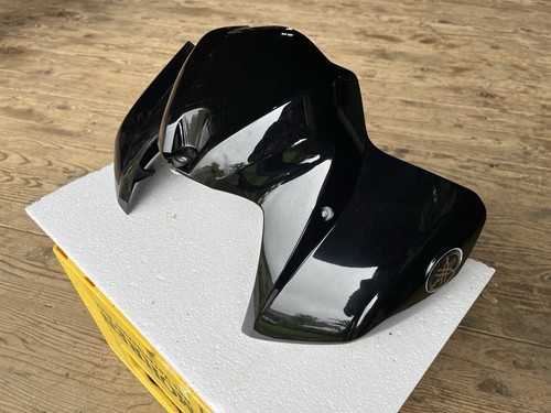 Yamaha fz1 rn16 - fz1,